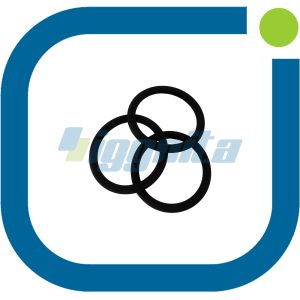 O-Ring Jenbacher: 300805 Original