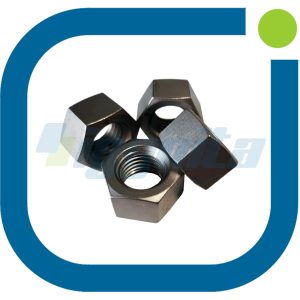 Hex Nut - Jenbacher 302307 Original