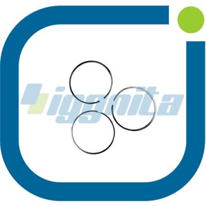Piston Ring Set MWM 12216095 Original