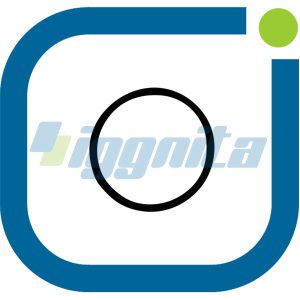 O-Ring MWM 1153923 - 01153923 ALTERNATIVE