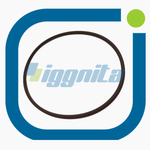 O-Ring MWM 1166170 OEM