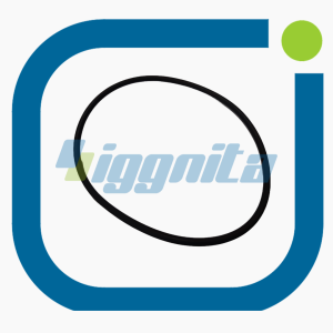 O-ring - MWM Ref: 01171417 Alternatif