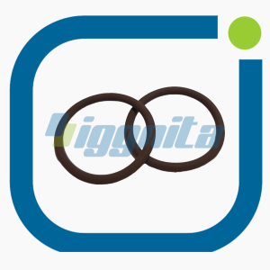 O-Ring MWM 01153878 Orijinal