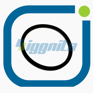 O-ring - MWM 01180367 Alternatif