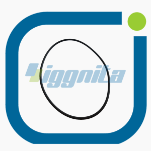 O-seal Jenbacher : 319742 Orijinal