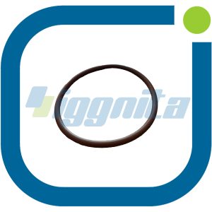 O-Ring Jenbacher : 456800 Orijinal