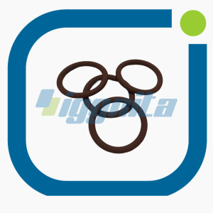 O-Ring Jenbacher : 497431 Orijinal