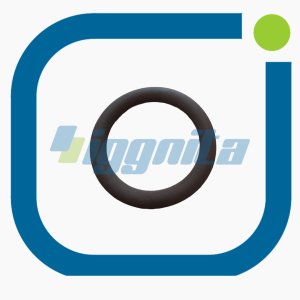 O-seal Jenbacher : 497554 Orijinal