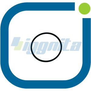 O-Ring MWM 01153843 Orijinal