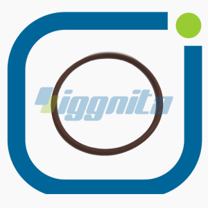 O-ring MWM : 1176807 - 01176807 ALTERNATİF