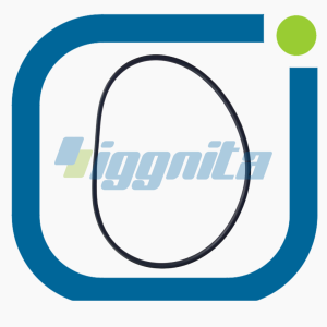 O-ring MWM: 1151135 OEM