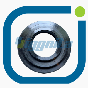 Valf Disk Yayı Jenbacher : 119725 Orijinal