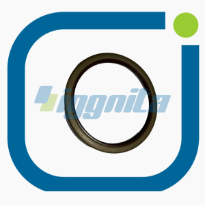 Rot shaft lip seal MWM 12029427 Orijinal