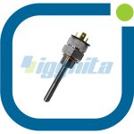 Direnç Termometresi MWM 12299465 Orijinal