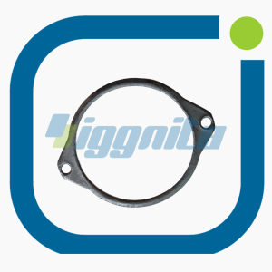 Conta MWM 12300609 Orijinal