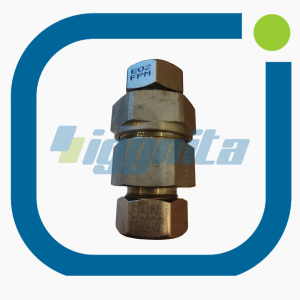 Tek yönlü valf MWM 12500095 Orijinal