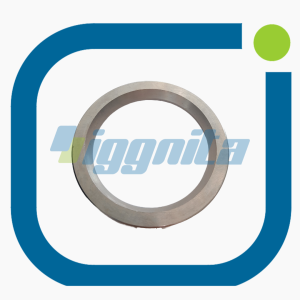 Giriş Valfi Yuvası Ek Parçası Jenbacher : 356699 Orijinal