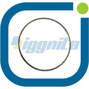 Düz Conta Jenbacher : 443876 Orijinal