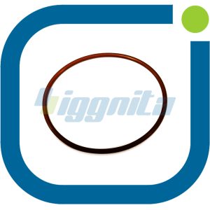 O-Ring Jenbacher : 456799 Orijinal