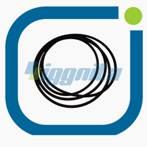 O-Ring Jenbacher : 489150 Orijinal