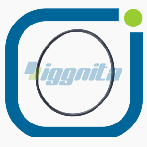 O-Ring MWM 06214769 Orijinal