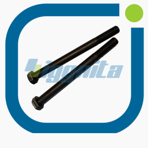 Altıgen Civata MWM 01137213 Orijinal