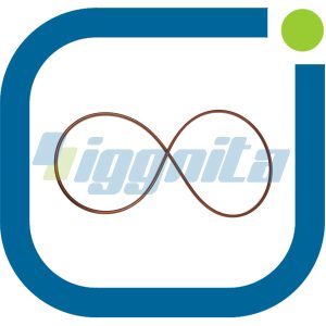 O-Ring Jenbacher : 456730 Orijinal