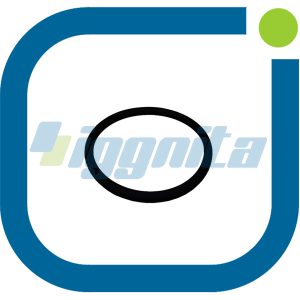 O-ring MWM : 1181982 Alternatif