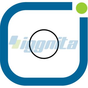 O-ring MWM : 12128846 Alternatif