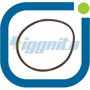 O-Ring Jenbacher : 225040 Alternatif