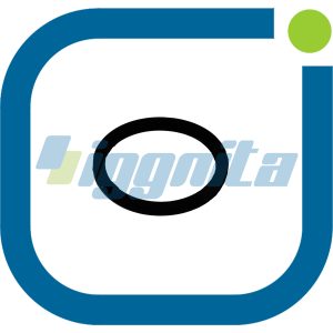 O-Ring Jenbacher 241824 Orijinal