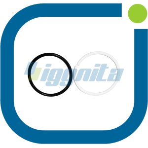 Sızdırmazlık Kiti Jenbacher 396876 Orijinal