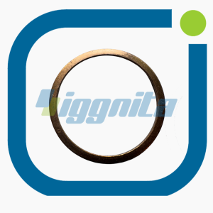 Sızdırmazlık Halkası Jenbacher 100838 Orijinal (Kopya)