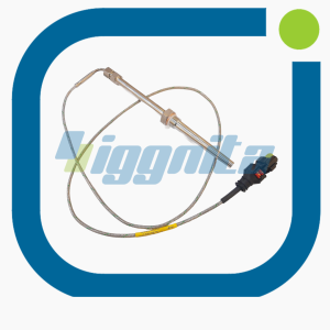 12324478 Thermocouple MWM
