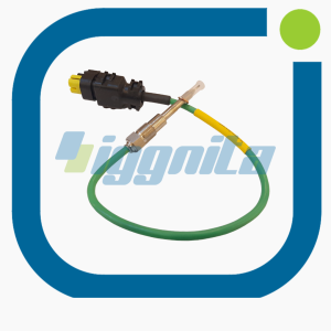12324479 Thermocouple MWM