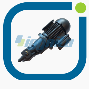 12540698 Pump Set MWM Orijinal