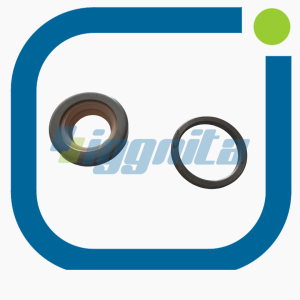 1218818 Sealing Kit Jenbacher Orjinal